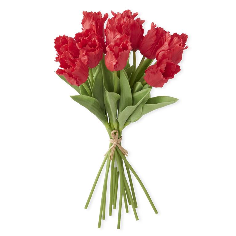 Real Touch Parrot Tulip Bundle -Red