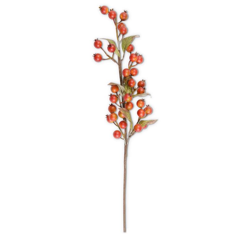 32 Inch Burnt Orange Rosehip Stem