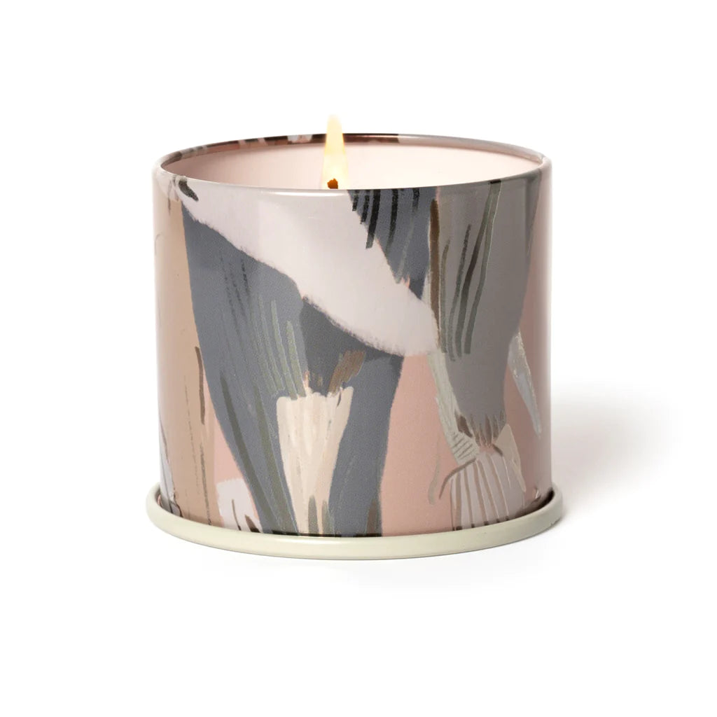 Coconut Milk Mango - Vanity Tin