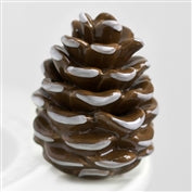 Pretty Pinecone Mini - A110