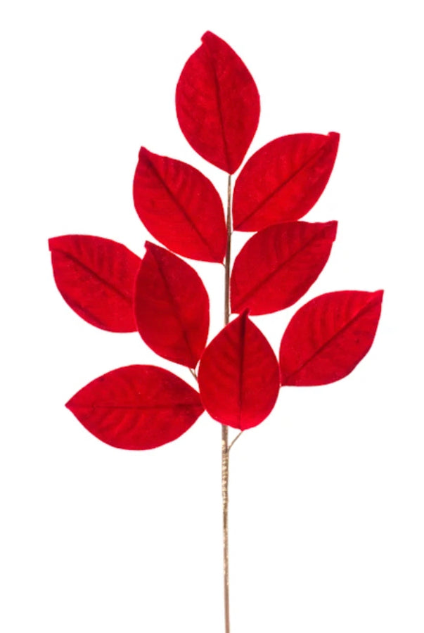Red Magnolia Leaf Stem