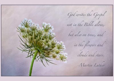CHP Martin Luther Card