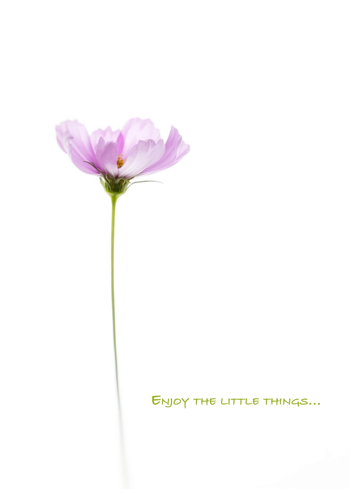 CHP Little Things Card