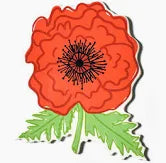 Poppy Big Attachment