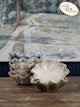 Poppy Bowl