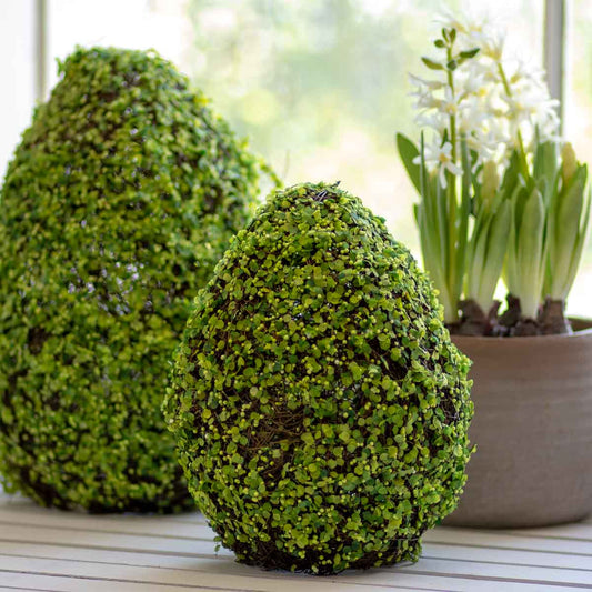 Belmont Egg Décor 11"