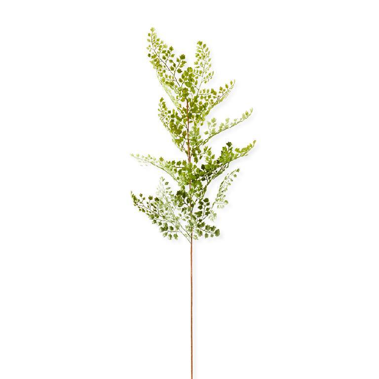 35 Inch Maidenhair Fern Stem