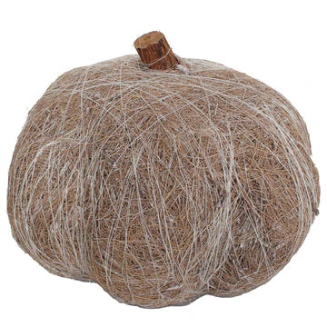 White Dried Exotic Pumpkins 6"