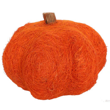 Orange Dried Exotic Pumpkins 6"