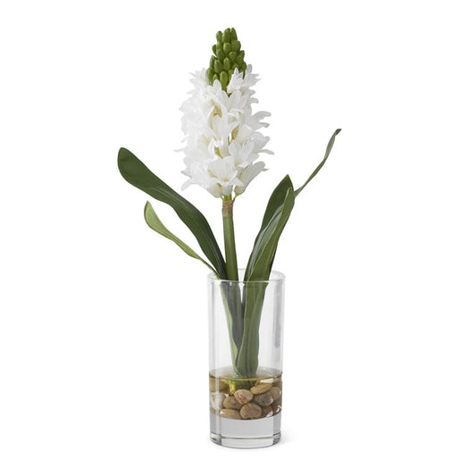 14.25 Inch White Hyacinth Premade In Glass Vase