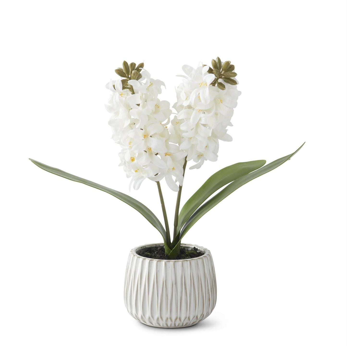 16in White Real Touch Hyacinth in White Ceramic
