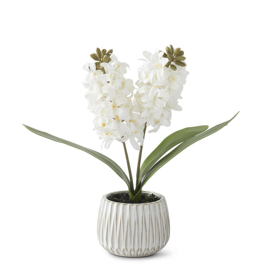 16in White Real Touch Hyacinth in White Ceramic