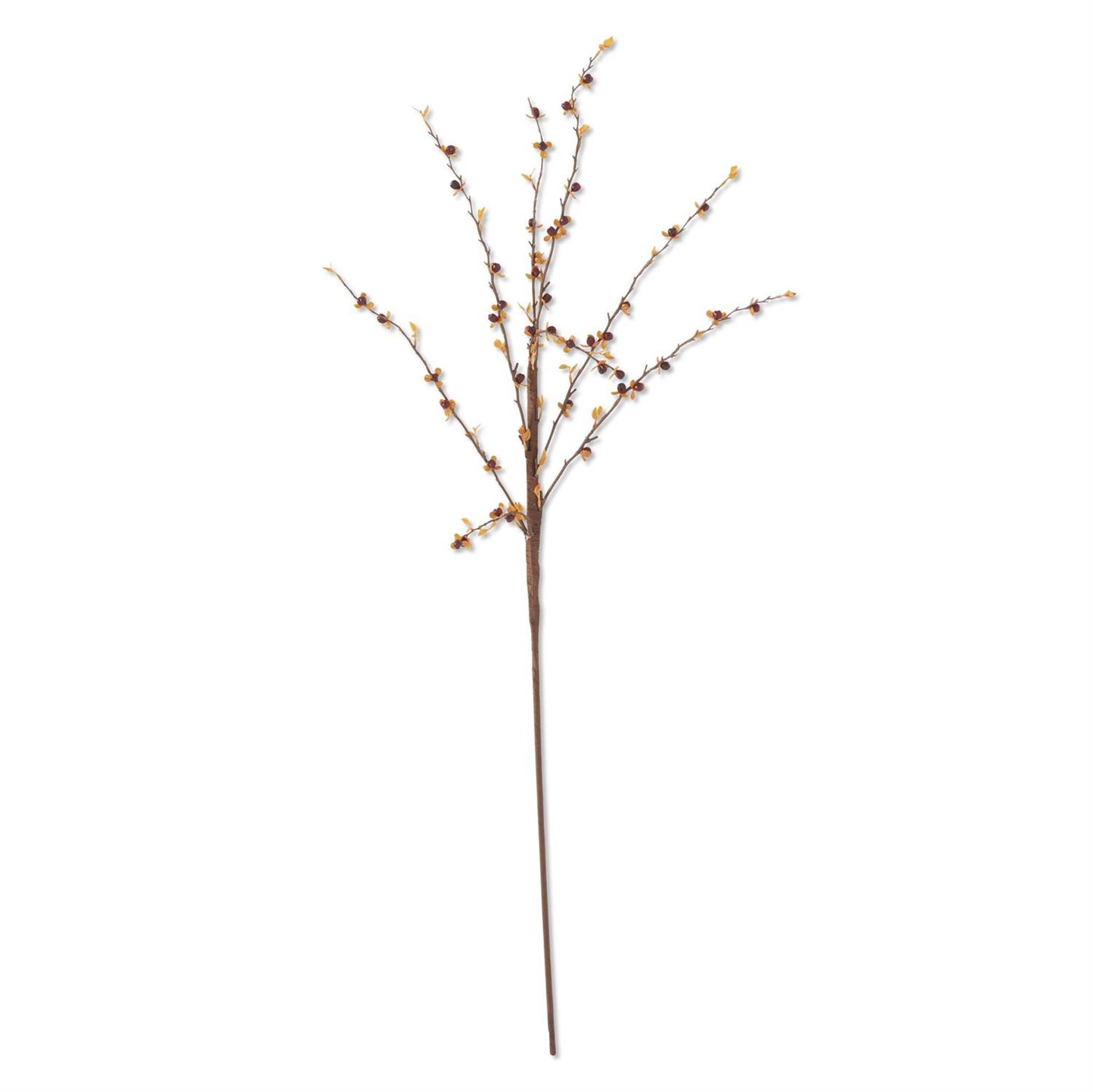 35 Inch Dark Orange Bittersweet Stem