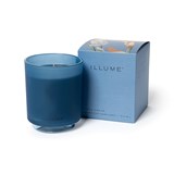 Citrus Crush - Boxed Glass Candle