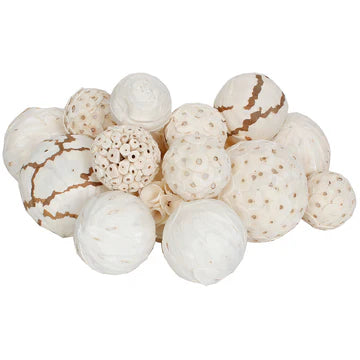 Dried Exotics Orbs 18 pieces Assorted White