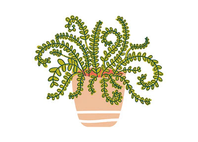 Happy Houseplant Big Attachment