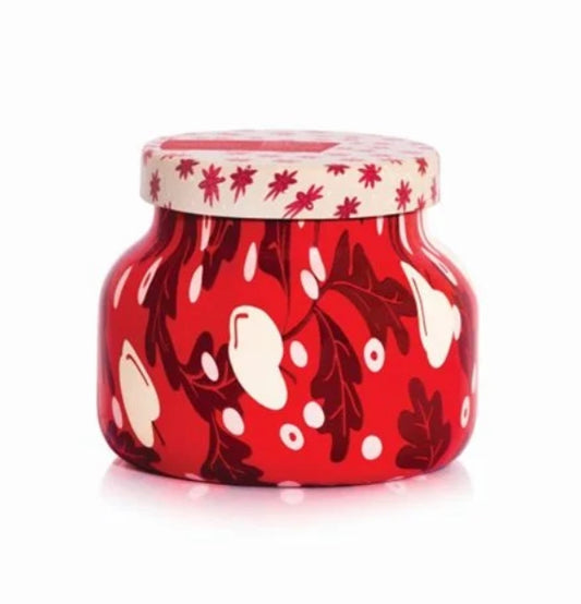 Apple Cider Social - Holiday Play Jar 19oz