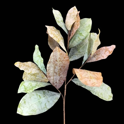 28” Magnolia Spray x 18 Lvs - Green Brown