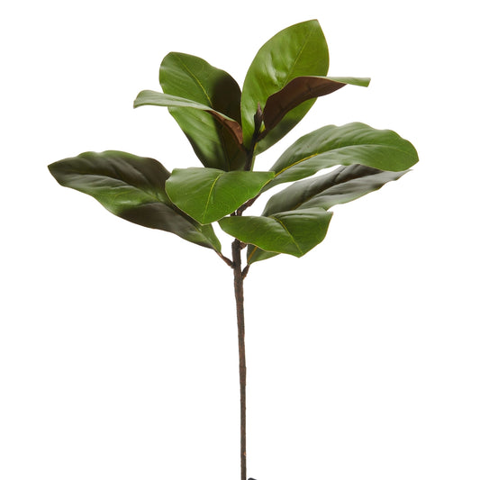 25" Magnolia Leaf Spray