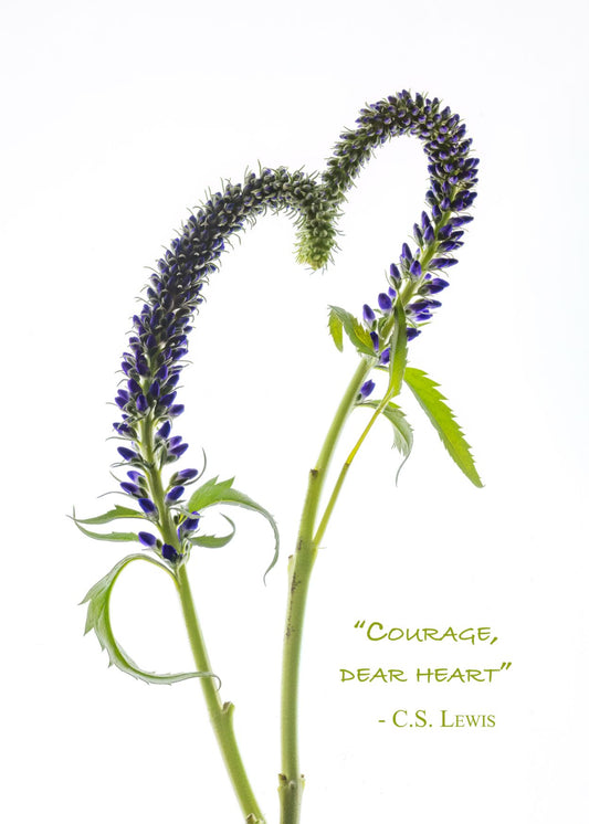 CHP Courage Dear Heart Card