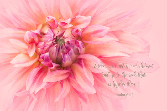 CHP Pale Pink Dahlia Card