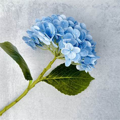20in Blue Real Touch Hydrangea Spray