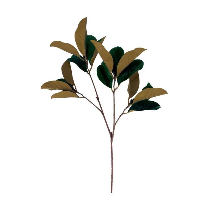 Magnolia Leaf Stem 18 Leaves