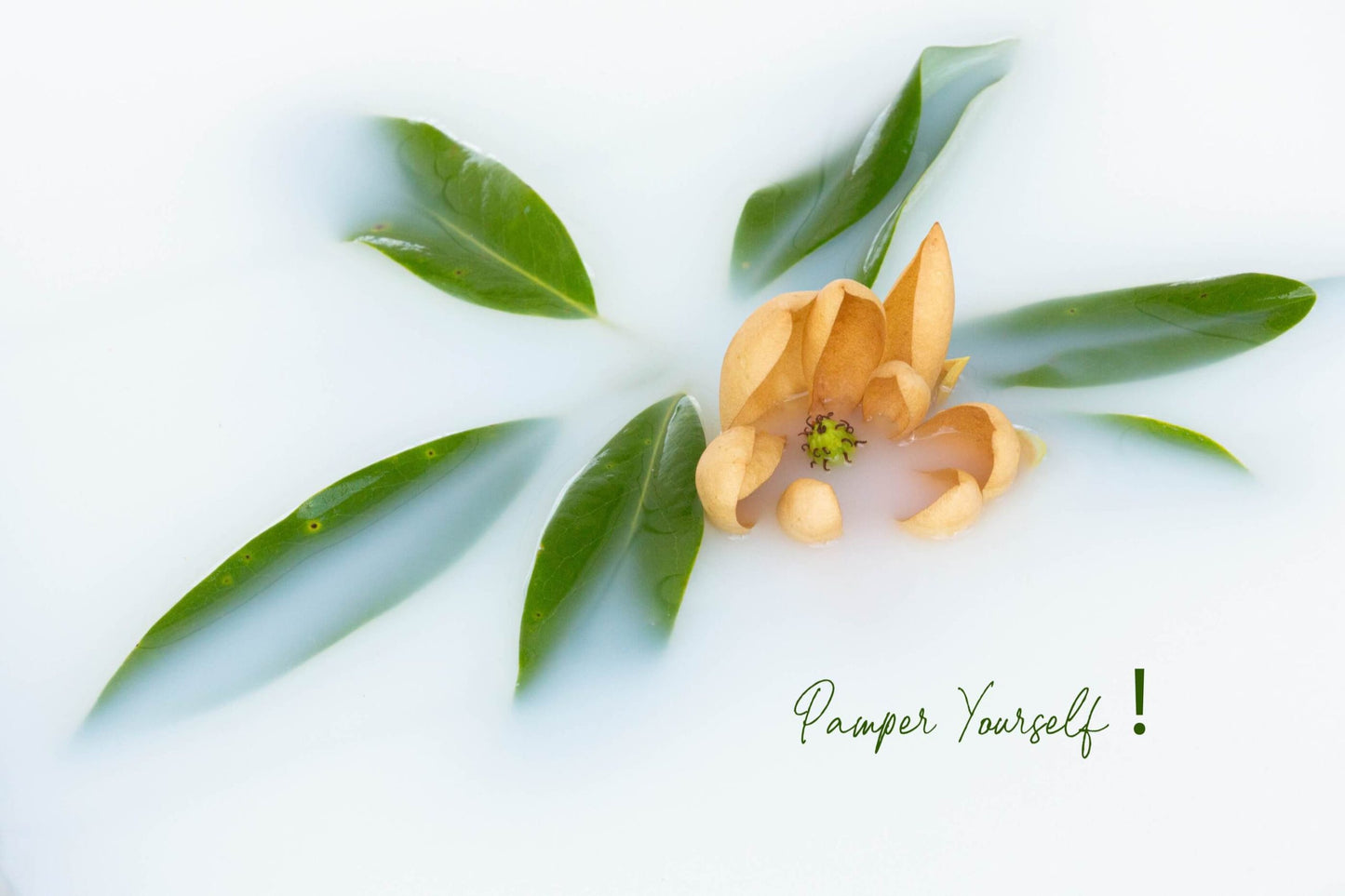 CHP Pamper Yourself Card