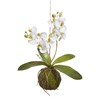 15" Real Touch White Orchid with Moss Ball