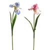 30.5 Real Touch Iris Stem