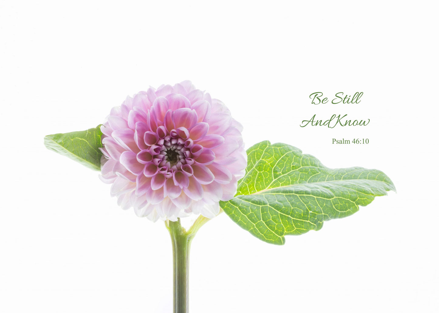 CHP Be Still and Know CARD - Small
