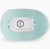 Flat Hair Clip - Mint to Be