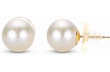 enewton Classic 10mm Ball Stud - Pearl